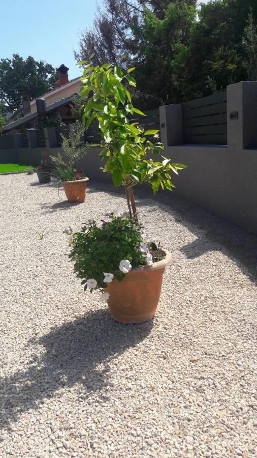 Apartman Nicolle Brzac Exterior photo